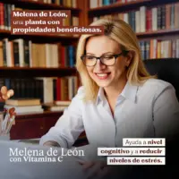 Melena De León Vitamina C 60 Cáps Vip Plan Equilibra - Imagen 3